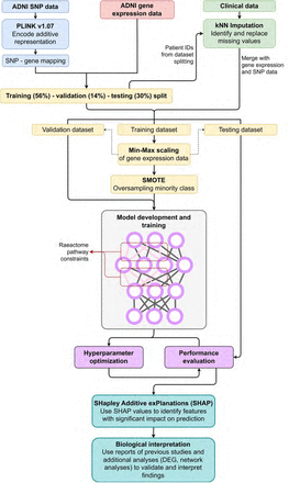 Fig 3.