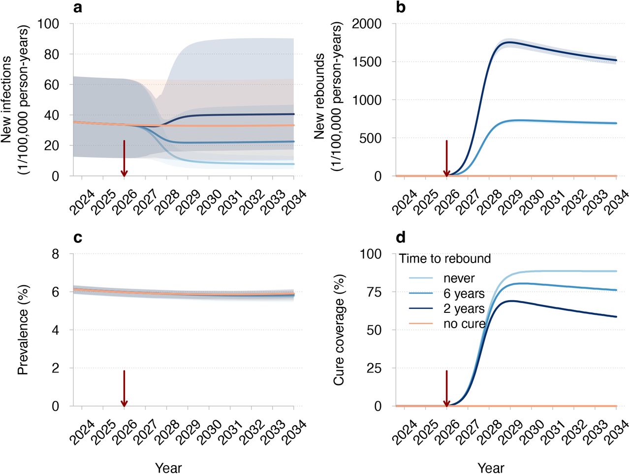 Model based evaluation of the impact of a potential HIV cure on  