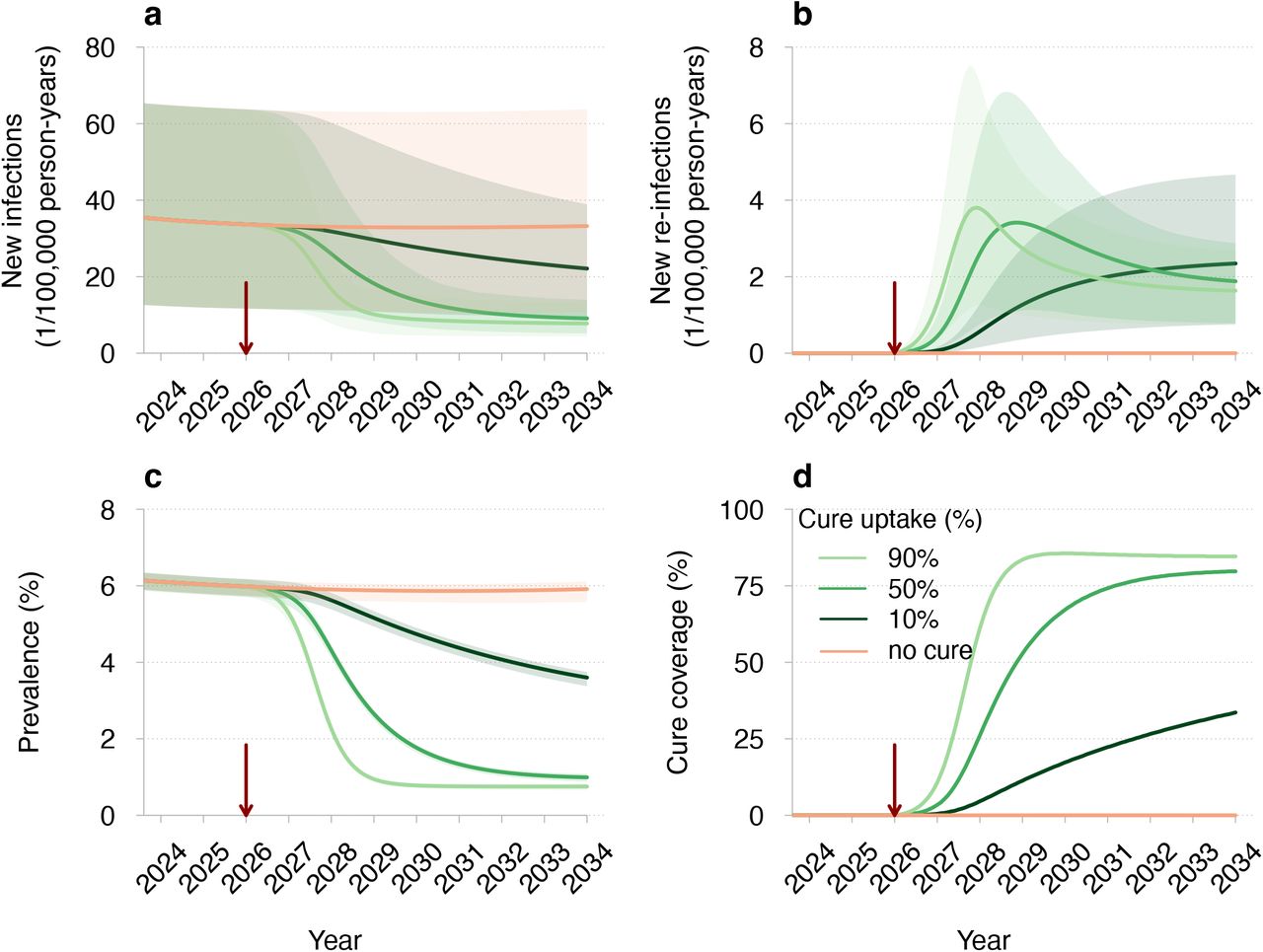 Model based evaluation of the impact of a potential HIV cure on  