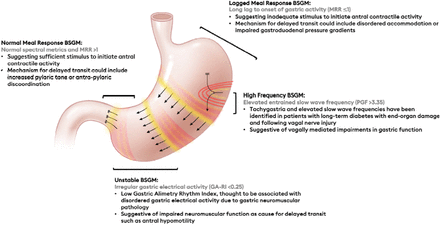 Supplementary Figure 1: