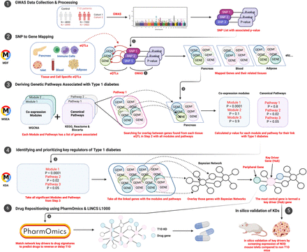 Figure 1: