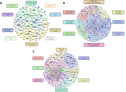 Figure 6: