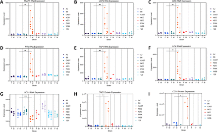 Figure 7: