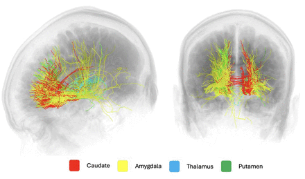 Figure 5: