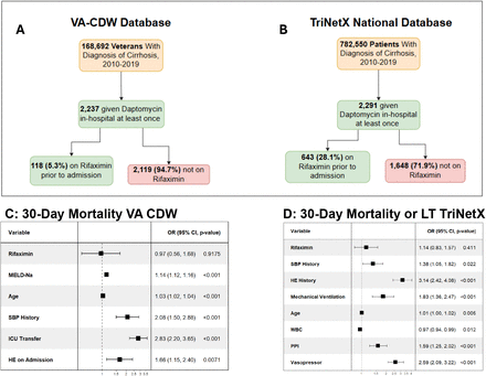 Figure 1: