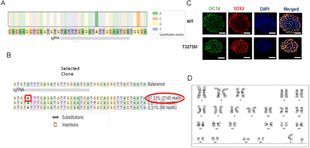 Supplementary Figure 2: