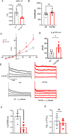 Supplementary Figure 4: