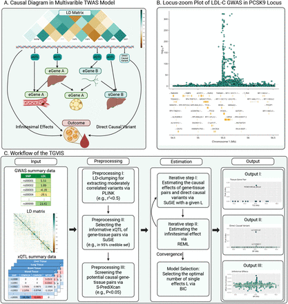 Figure 1: