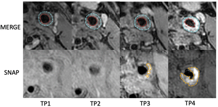 Figure 4.