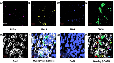 Figure 6: