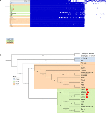 Appendix, Figure 1.