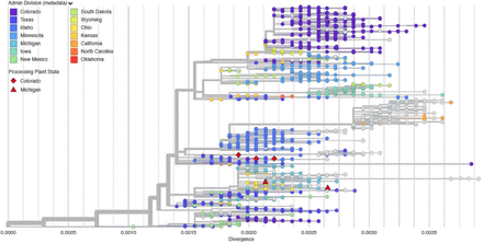 Fig 2: