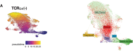 Extended data Fig. 10.