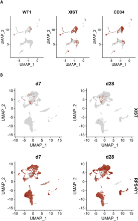 Extended data Fig. 16