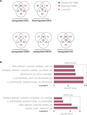 Figure S4.