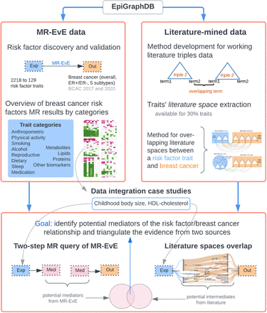 Graphical Abstract