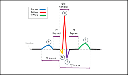 Figure 1: