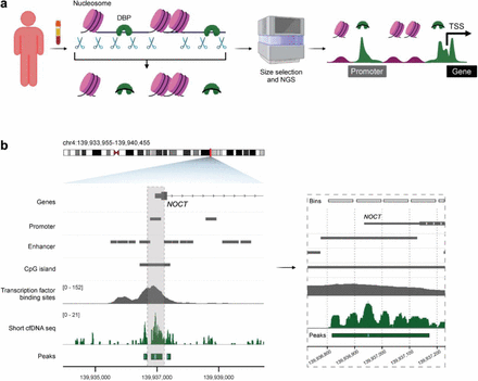 Figure 1: