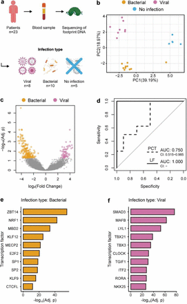 Figure 3: