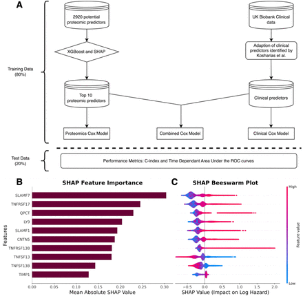 Figure 1: